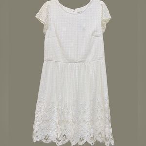 White lace dress Loft Size 12 NWT